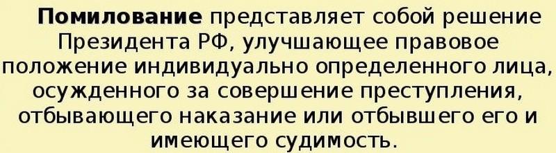 Прошу помилования. Прошение о помиловании от матери. Материнское ходатайство о помиловании.